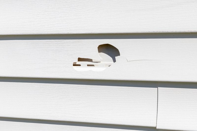 Patch Repair on Vinyl Siding